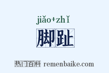 脚趾是什么意思的图片
